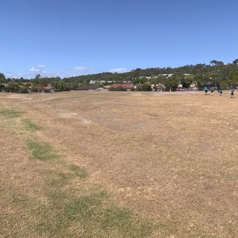 UCSC Clean Up Day 2017